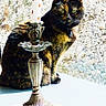animal, candle, candle_holder, cat, closeup, daylight, decoration, feline, fur, indoor, ornate, outdoor, pet, rock, shadow, still_life, sunlight, table, tortoiseshell, windowsill