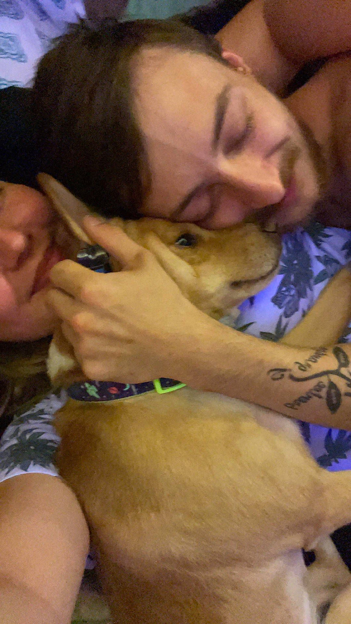 Axel joined the competition — help win amazing prizes! abdomen, beard, carnivore, chest, child, comfort, companion_dog, dog, dog_breed, ear, eyewear, fawn, fur, gesture, jaw, mouth, nail, selfie, sporting_group, trunk