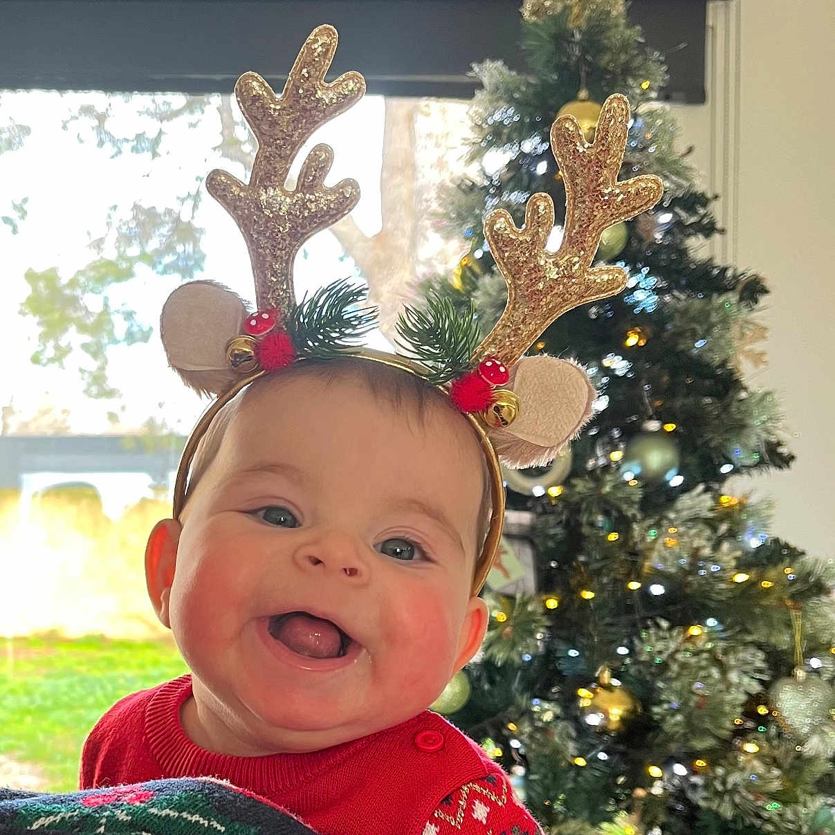 Lysie Rose a rejoint le concours — aidez-le/la à gagner de superbes lots ! baby, celebration, child, christmas_tree, cute, decoration, face, festive, greenery, happy, headband, holiday, indoor, joy, ornaments, person, red_sweater, reindeer_antlers, seasonal, smiling