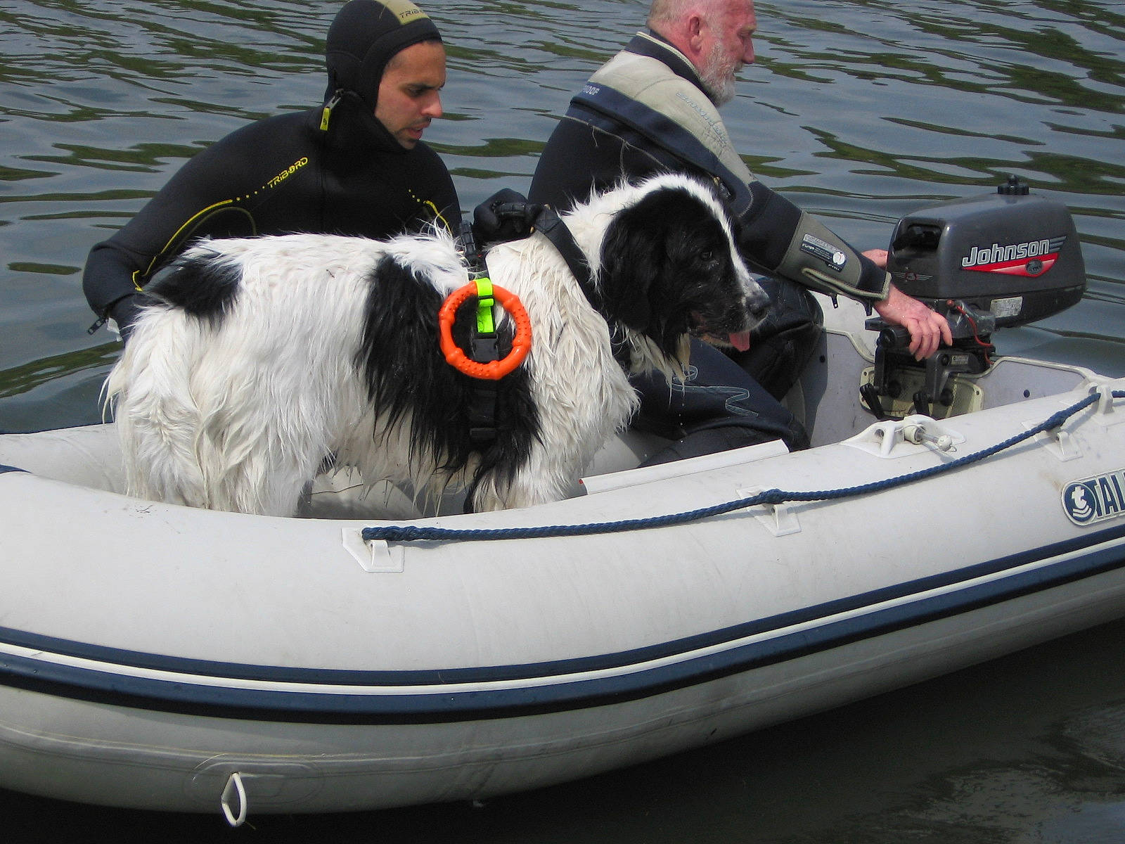 Odine participe au concours pour gagner de l'argent avec cette photo : boat, boating, boats_and_boating_equipment_and_supplies, dog, dog_breed, dog_like_mammal, person, vehicle, water_transportation, watercraft