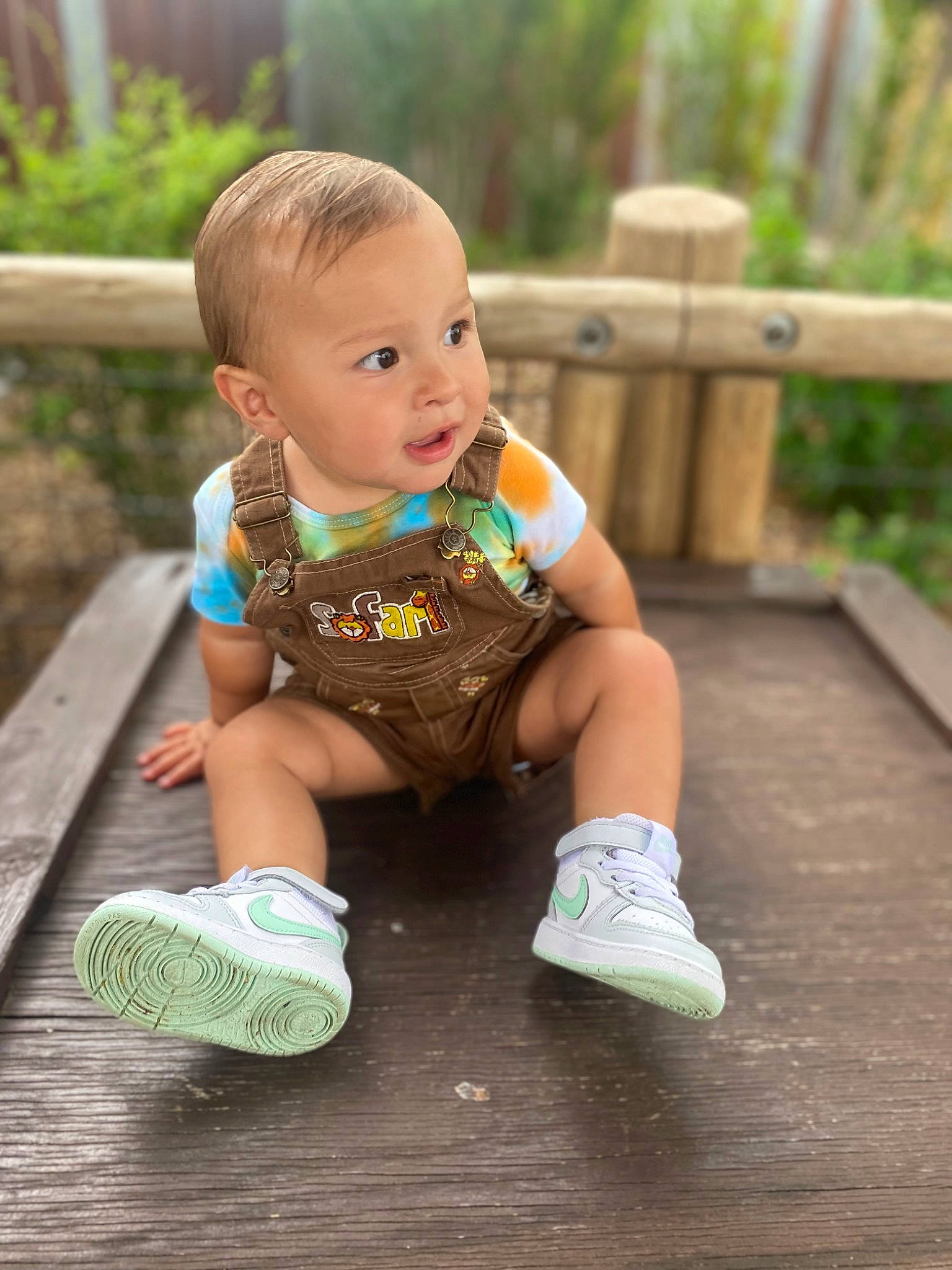 Legacy is registered to the contest to win money with this photo: baby, baby_toddler_clothing, child, fence, fun, grass, happy, human_leg, knee, leisure, people_in_nature, person, plant, shoe, sitting, skin, sock, summer, thigh, toddler