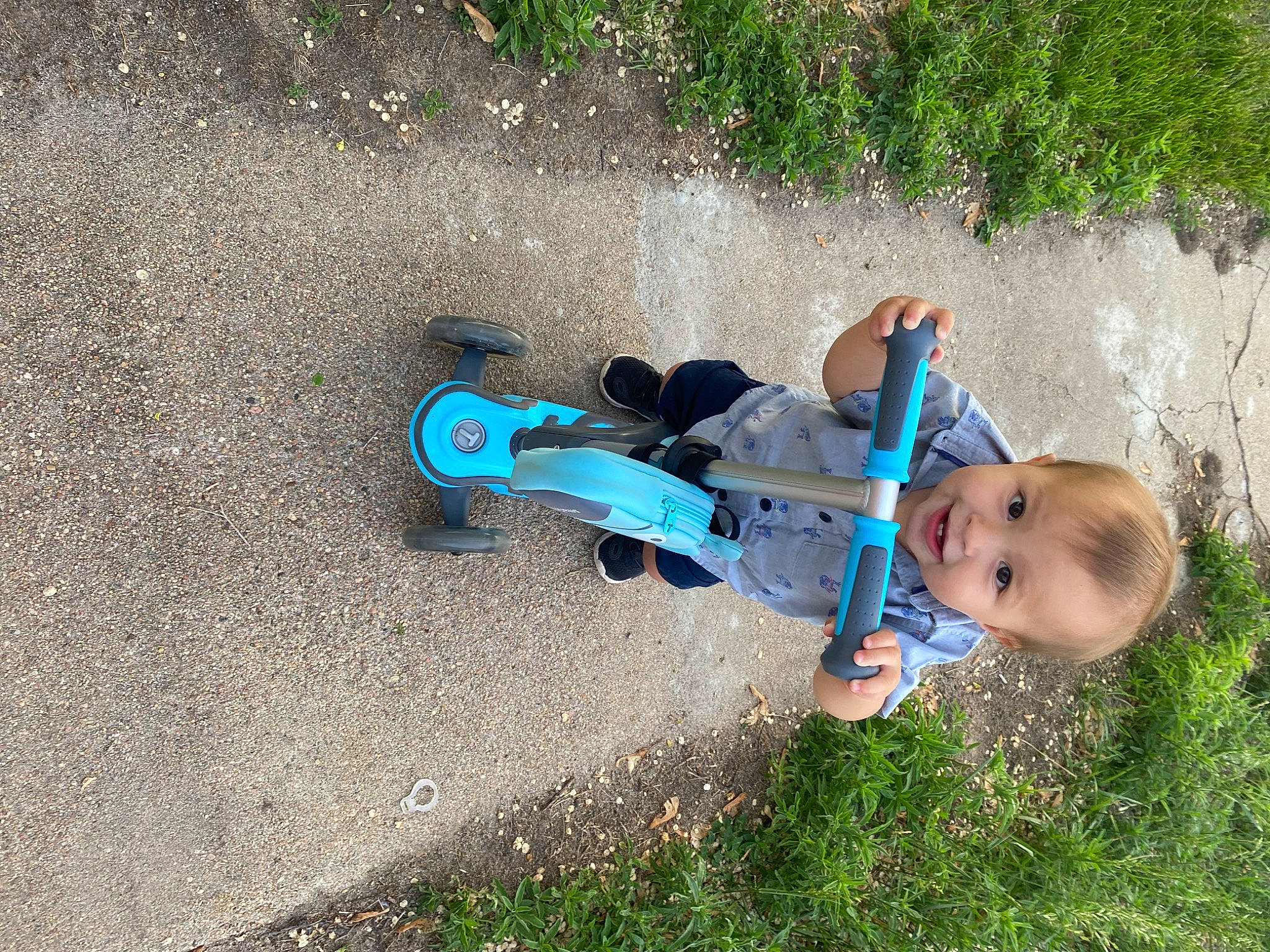 Legacy is registered to the contest to win money with this photo: asphalt, baby, baby_toddler_clothing, child, electric_blue, fun, grass, leisure, people_in_nature, person, plant, play, recreation, shadow, sitting, soil, toddler, tree