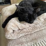 black_cat, sleeping, blanket, cozy, indoor, pet, fur, paw, resting, cute, domestic_animal, feline, close_up, comfort, nap, soft_texture, relaxation, household, animal, bed