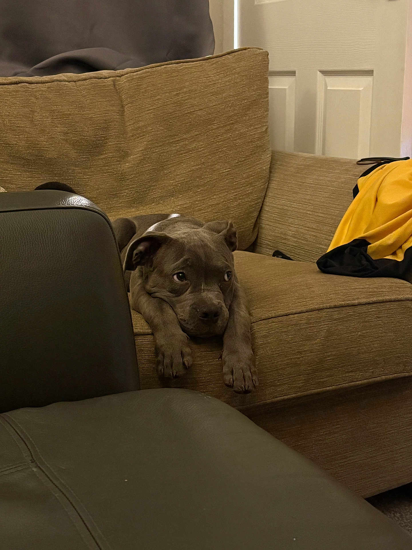 Rocky