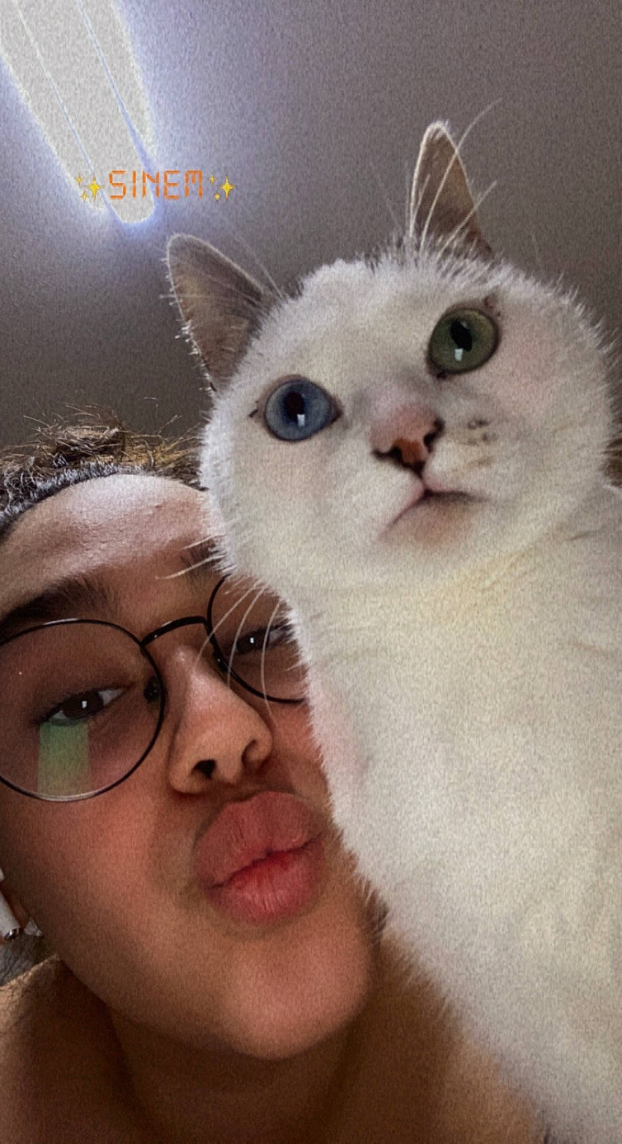 Titis participe au concours pour gagner de l'argent avec cette photo : carnivore, cat, comfort, ear, event, eyelash, eyewear, fawn, felidae, fur, gesture, happy, iris, nose, paw, photo_caption, selfie, small_to_medium_sized_cats, snout, whiskers