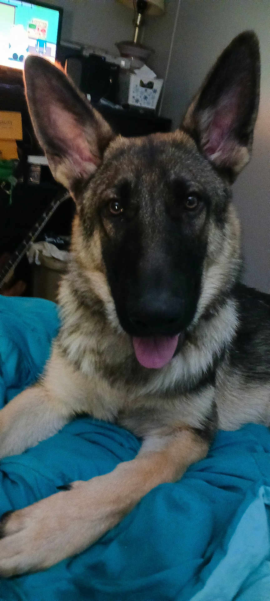 Loki