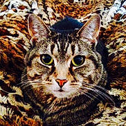 Angel is registered to the contest to win money with this photo: