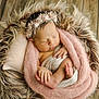 animal, baby, blanket, canine, face, head, homedecor, newborn, people, person, photography, portrait, quilt, sleeping