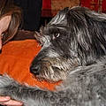 Sabrina D.