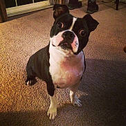 Duke joined the competition — help win amazing prizes!