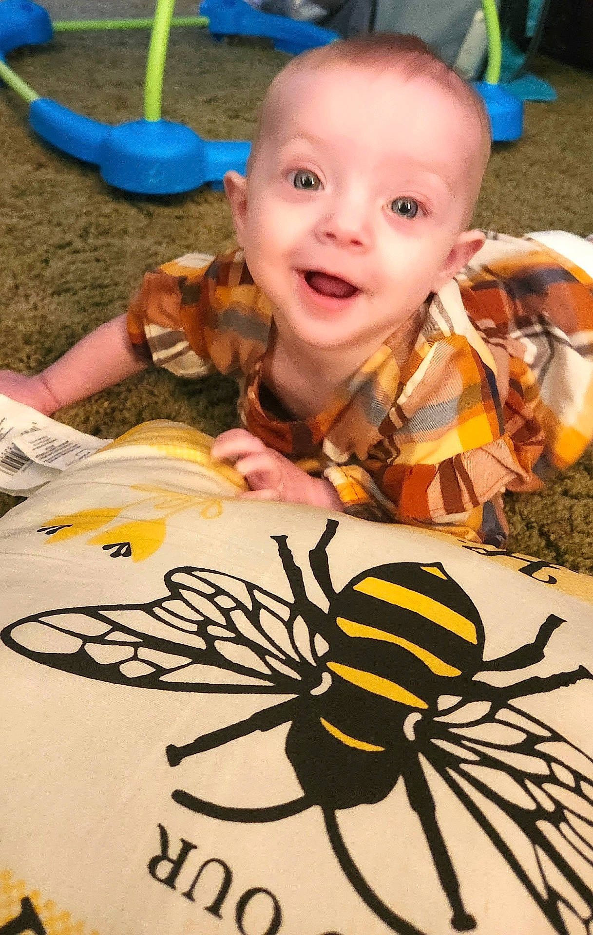 Autumn is registered to the contest to win money with this photo: animal, baby, bee, clothing, face, grass, head, insect, invertebrate, outdoorplayarea, outdoors, person, photography, plant, playarea, portrait, spider, summer, t_shirt, toy