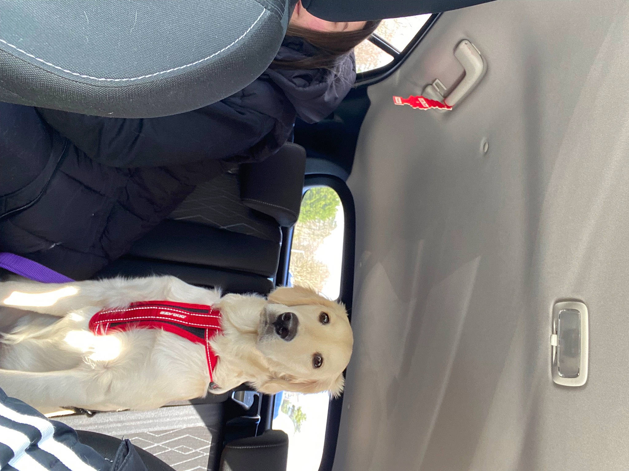 Grace is registered to the contest to win money with this photo: aircraft, auto_part, automotive_design, automotive_exterior, automotive_lighting, automotive_tire, carmine, family_car, hat, helmet, hood, motor_vehicle, personal_protective_equipment, snowman, sun_hat, toy, trunk, vehicle_door, white, window