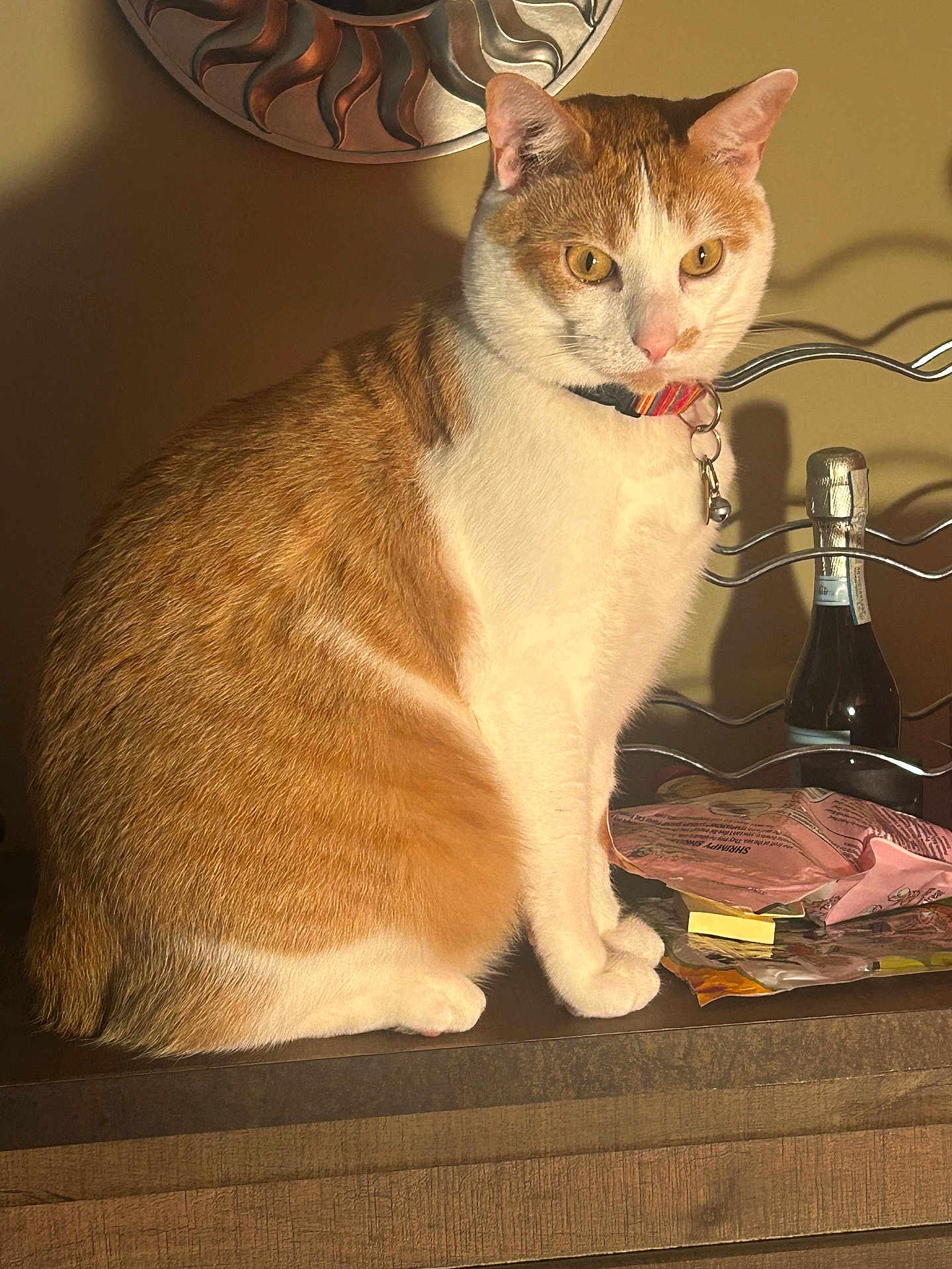 Simba