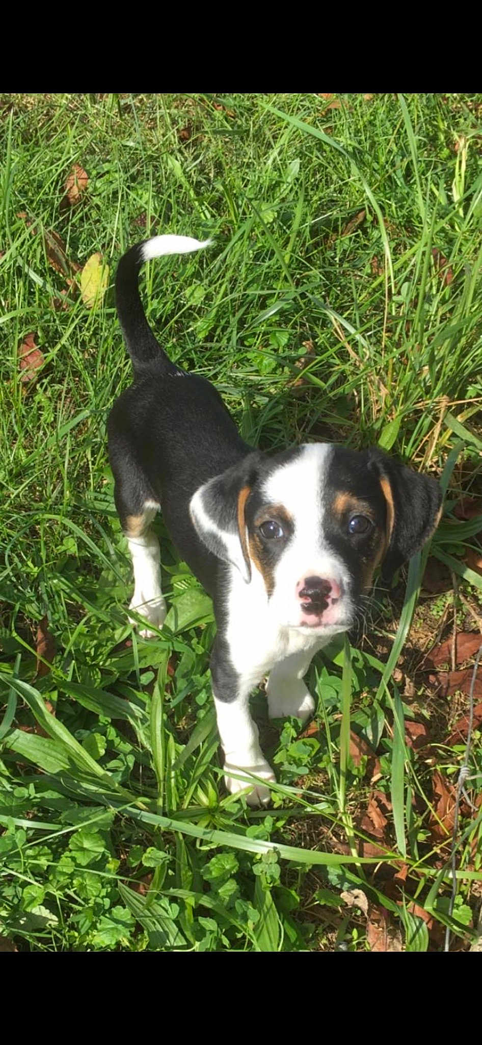 Copper