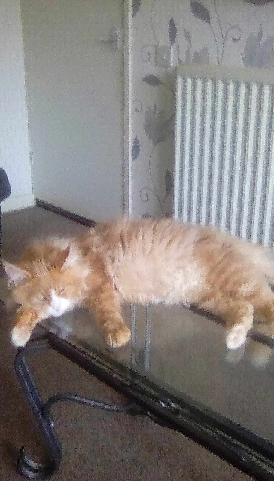 Rory