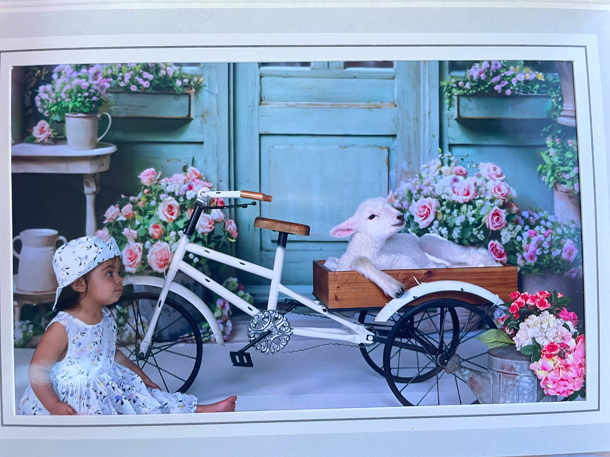 Magnolia is registered to the contest to win money with this photo: bicycle, bicycle_fork, bicycle_frame, bicycle_handlebar, bicycle_saddle, bicycle_tire, bicycle_wheel, bicycles_equipment_and_supplies, flower, flowerpot, hat, headwear, land_vehicle, motor_vehicle, person, photograph, pink, plant, tire, vehicle