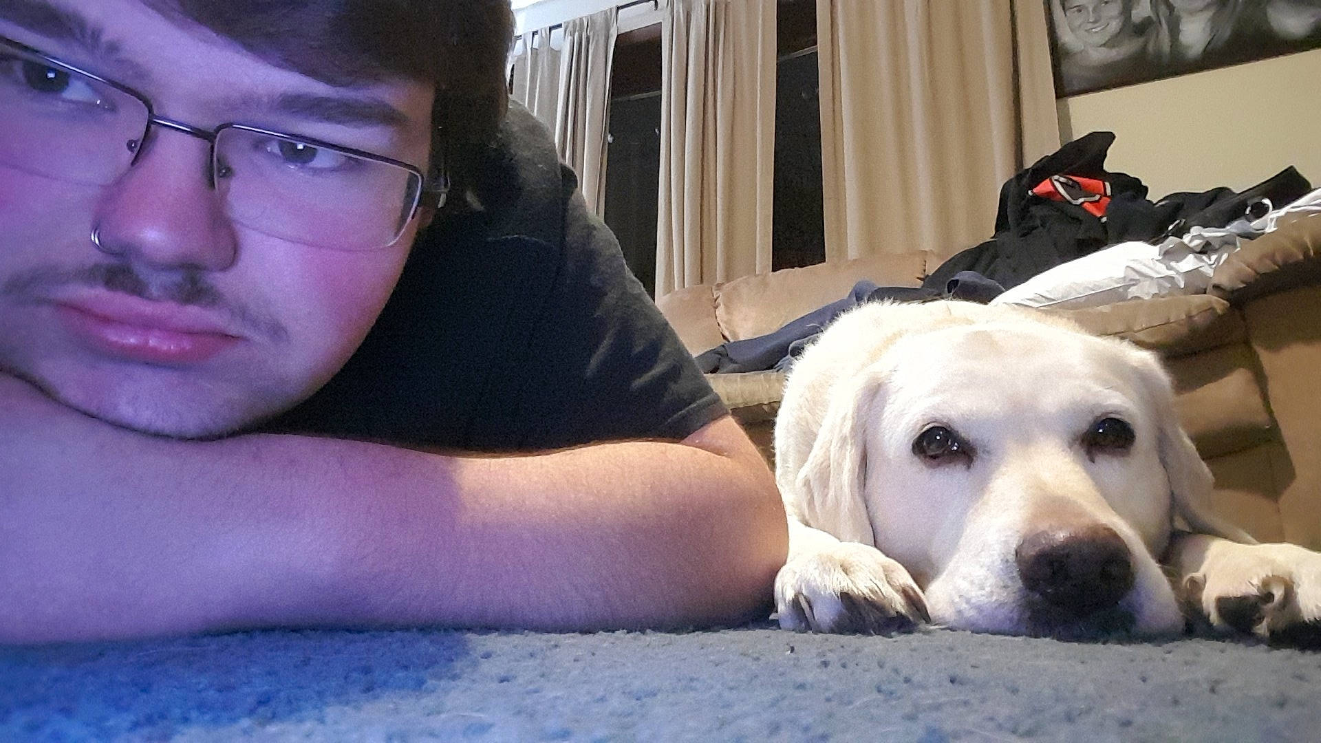 Ivy is registered to the contest to win money with this photo: bag, black_hair, canidae, carnivore, comfort, companion_dog, curtain, dog, dog_breed, eyebrow, eyewear, facial_hair, glasses, mammal, organ, skin, snout, sporting_group, vertebrate, vision_care