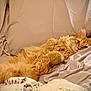 Nala joined the competition — help win amazing prizes! cat, orange_cat, fluffy, bed, pillow, blanket, relaxed, indoor, pet, feline, cute, cozy, resting, fur, animal, sleepy, home, comfort, lying_down, domestic