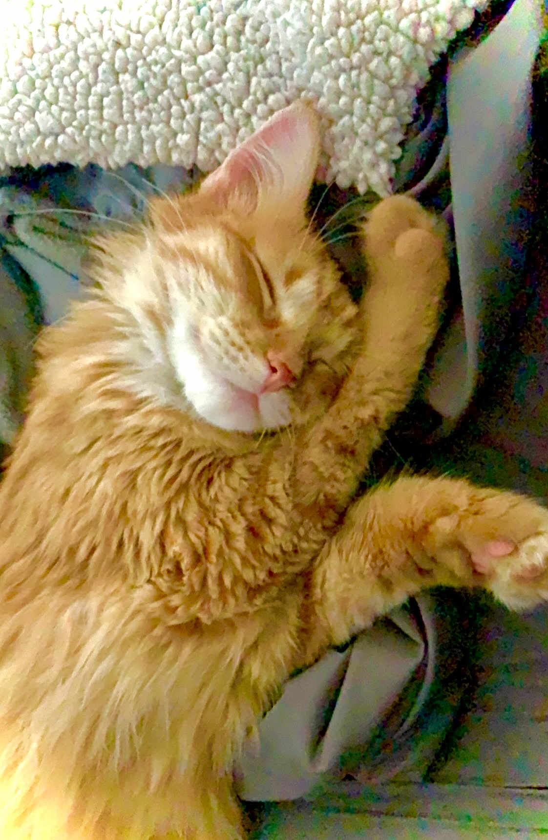 Nala