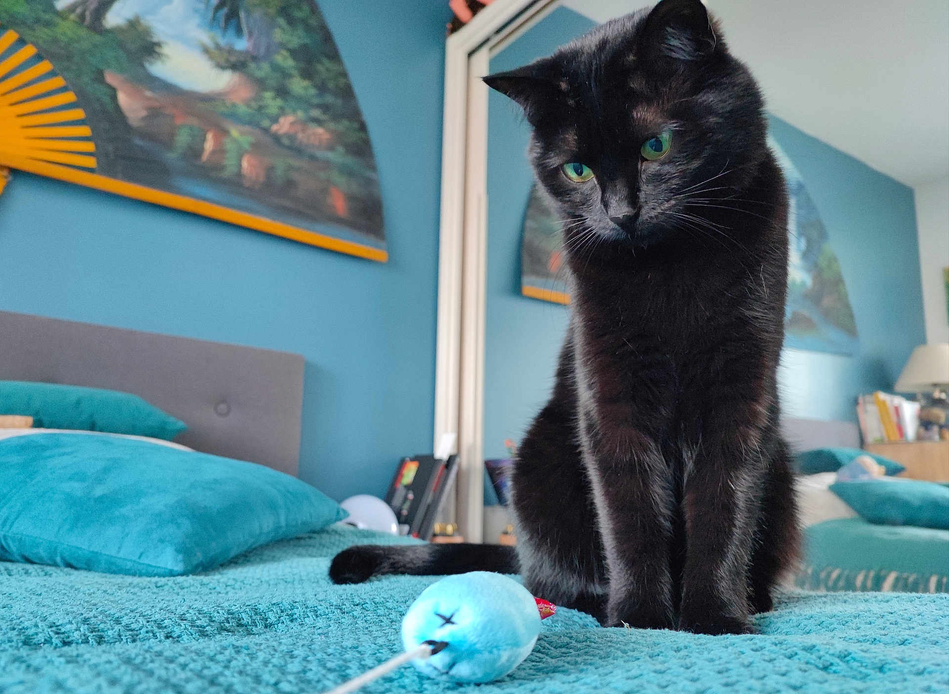 Olympe participe au concours pour gagner de l'argent avec cette photo : black_cat, cat, bed, bedroom, blue_toy, toy_mouse, pillow, headboard, blanket, furniture, indoor, pet, animal, green_eyes, curious, home, decor, fan, reflection, cozy