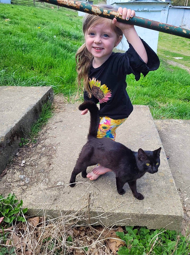 Harper is registered to the contest to win money with this photo: carnivore, cat, dog_breed, eye, felidae, grass, joy, leisure, person, photograph, plant, recreation, small_to_medium_sized_cats, smile, snapshot, soil, sporting_group, t_shirt, tail, terrestrial_animal