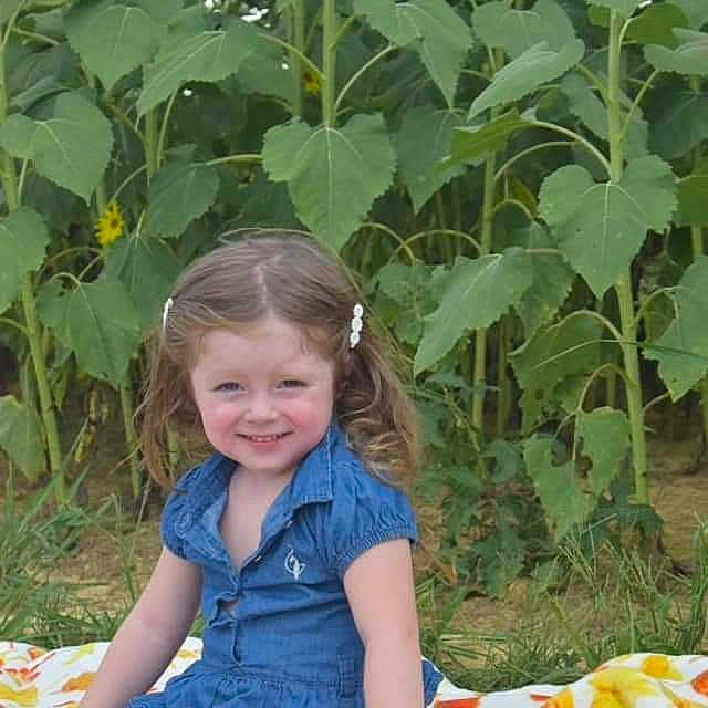 Harper