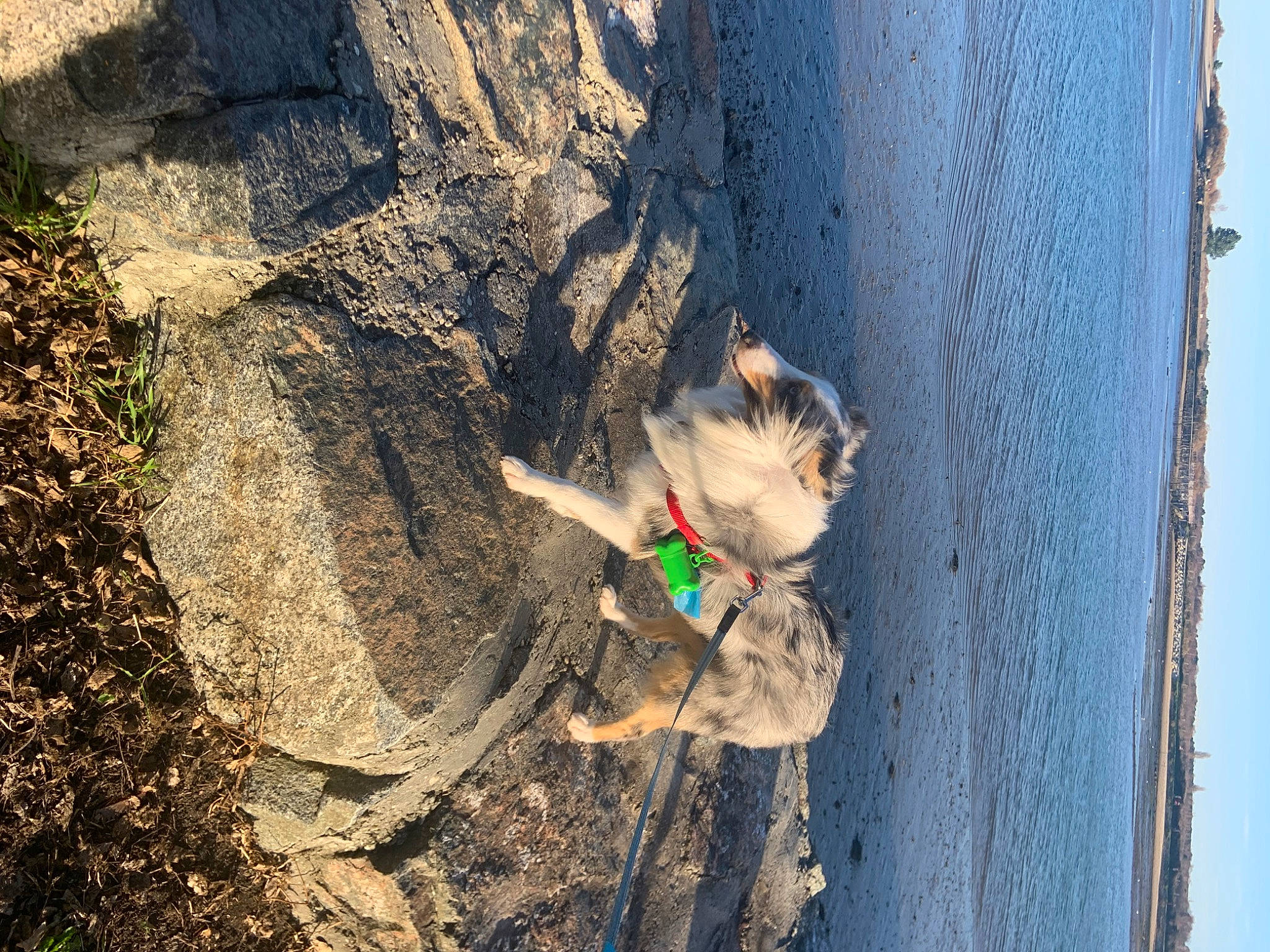 Tendresse participe au concours pour gagner de l'argent avec cette photo : adventure, bedrock, carnivore, climbing, fun, geology, lake, leisure, plant, recreation, rock, rock_climbing_equipment, rope, sky, soil, sport_climbing, trunk, wall, water, wood