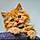 Simba