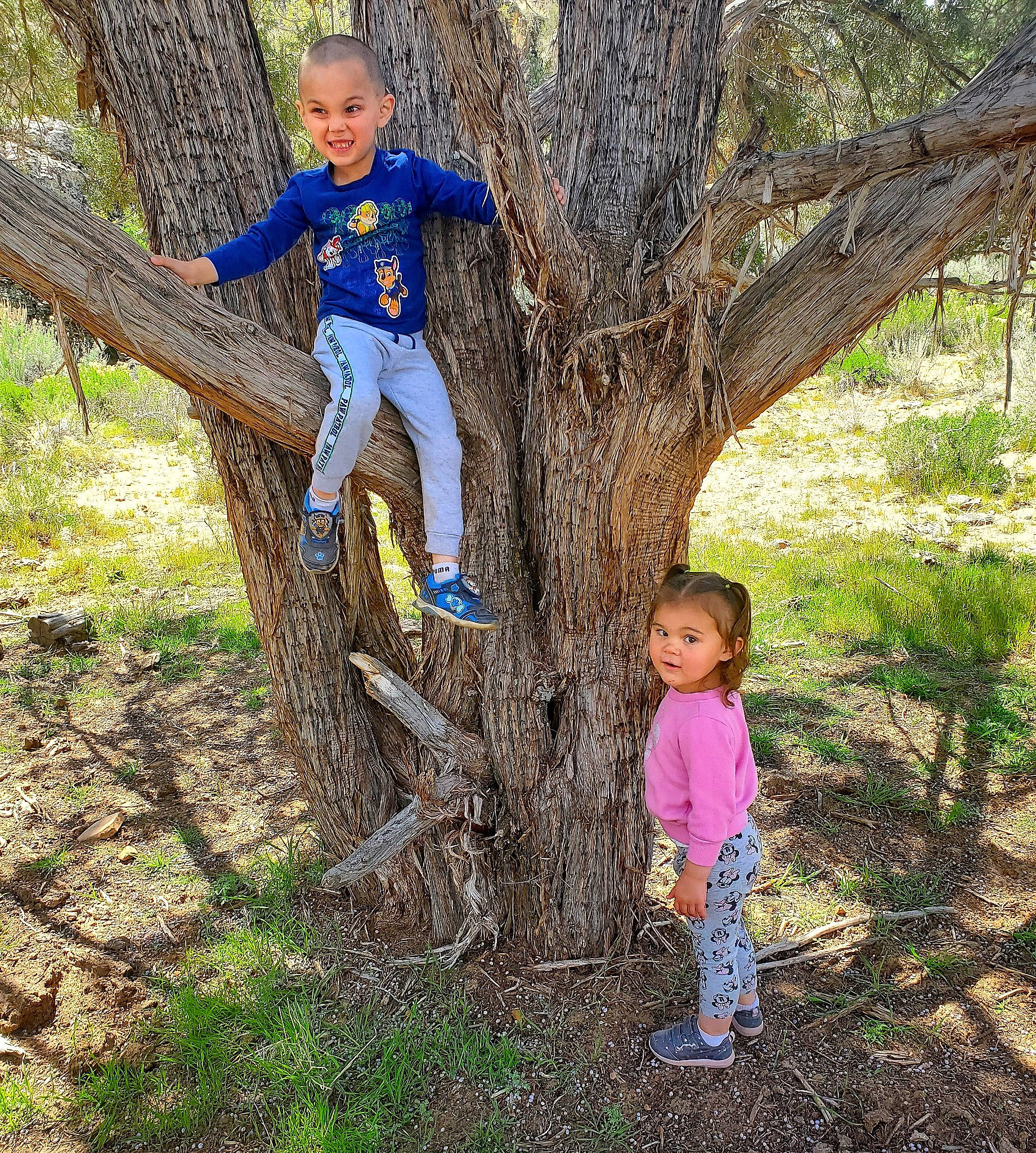 Cory is registered to the contest to win money with this photo: branch, child, denim, forest, fun, happy, jeans, joy, leaf, leisure, people_in_nature, person, plant, play, recreation, soil, spring, toddler, tree, trunk