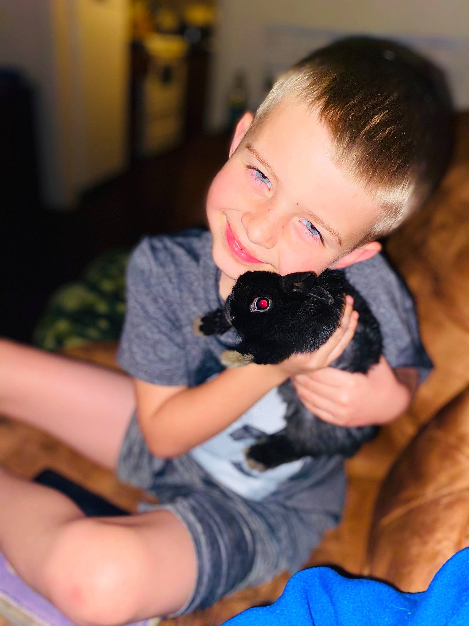 Colton joined the competition — help win amazing prizes! arm, carnivore, comfort, companion_dog, dog_breed, elbow, fawn, felidae, finger, fun, gesture, happy, joy, lap, person, small_to_medium_sized_cats, smile, stuffed_toy, t_shirt, thigh