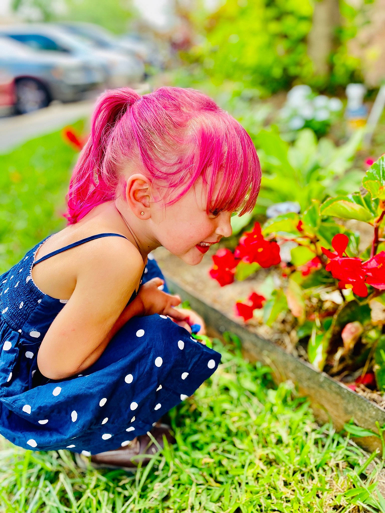 Alanna is registered to the contest to win money with this photo: annual_plant, bangs, beauty, brown_hair, child, doll, grass, happy, leaf, leisure, pattern, people_in_nature, person, plant, red_hair, sitting, summer, sunlight, toddler, toy