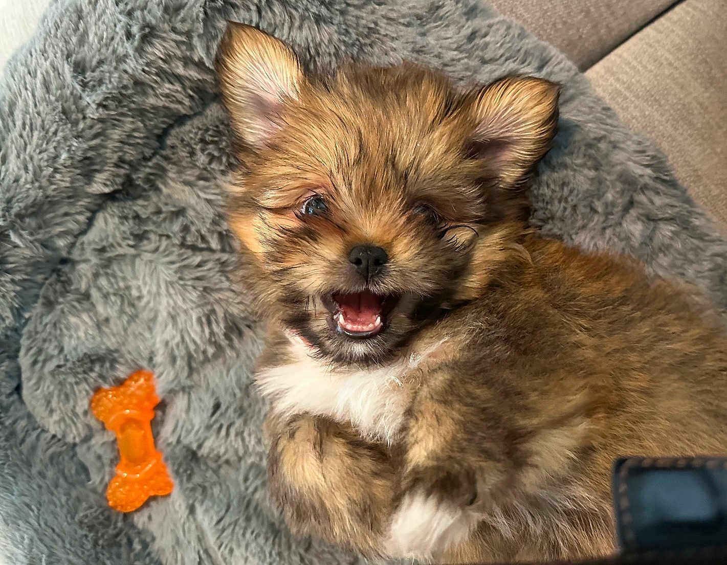 Tilly