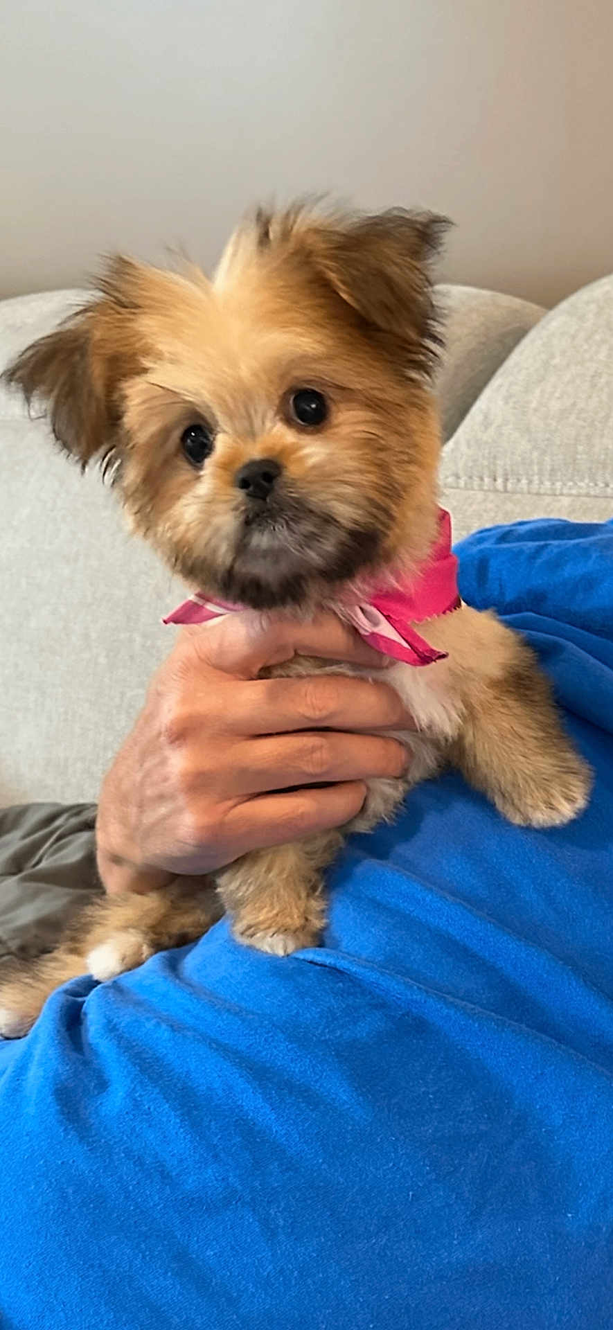 Tilly