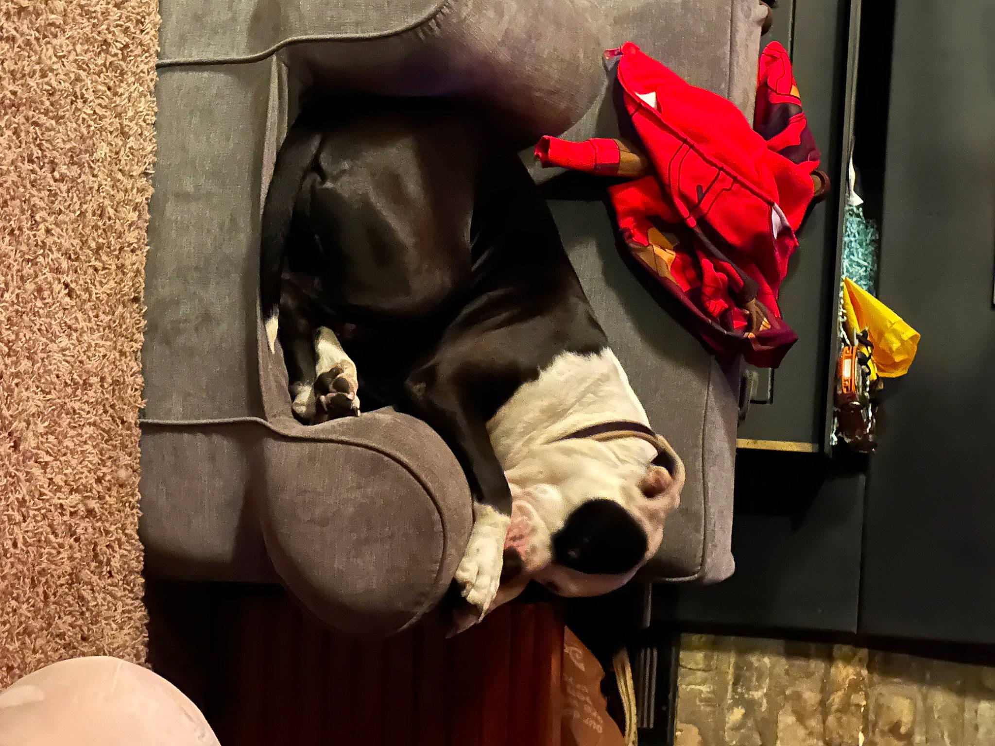 Karma is registered to the contest to win money with this photo: adventure, art, baby_carriage, baby_products, backpack, bag, baggage, carmine, fashion_accessory, leather, luggage_and_bags, personal_protective_equipment, recreation, room, rope, sitting, strap, wood