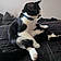 Tux