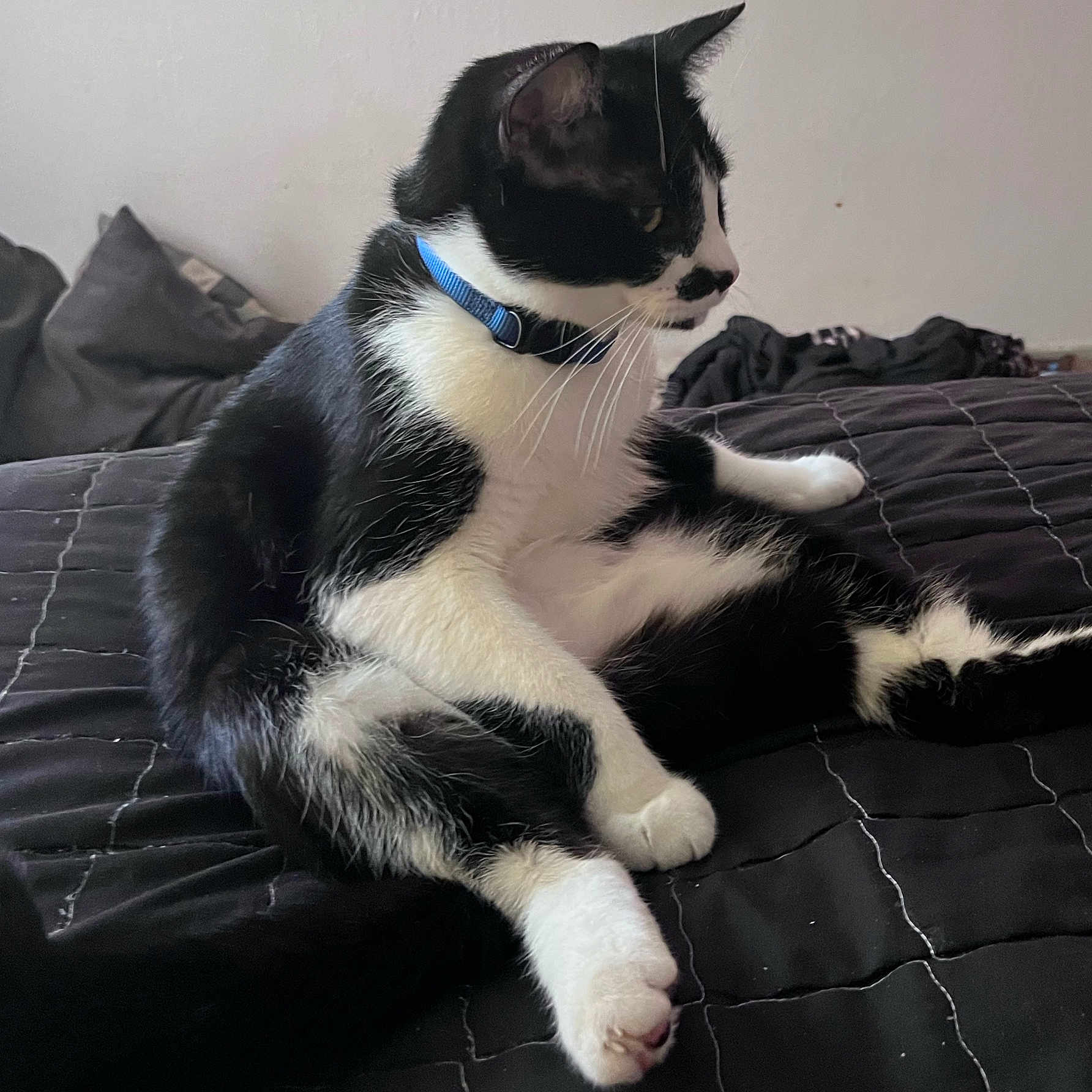 Tux