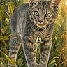 cat, kitten, gray_fur, green_eyes, bell_collar, collar, animal, pet, feline, standing, outdoors, foliage, leaves, jungle, stone_ledge, portrait, close_up, illustration, digital_art, watercolor_style