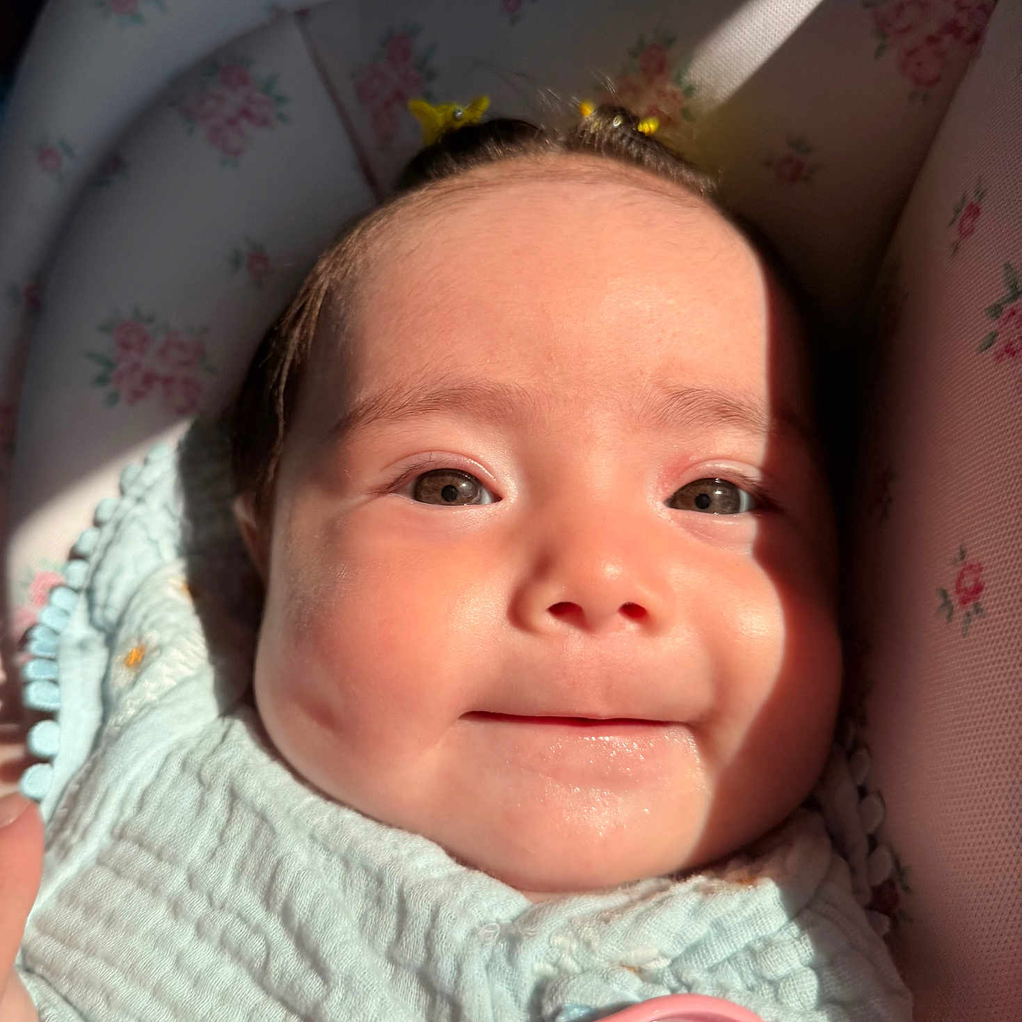 Alani