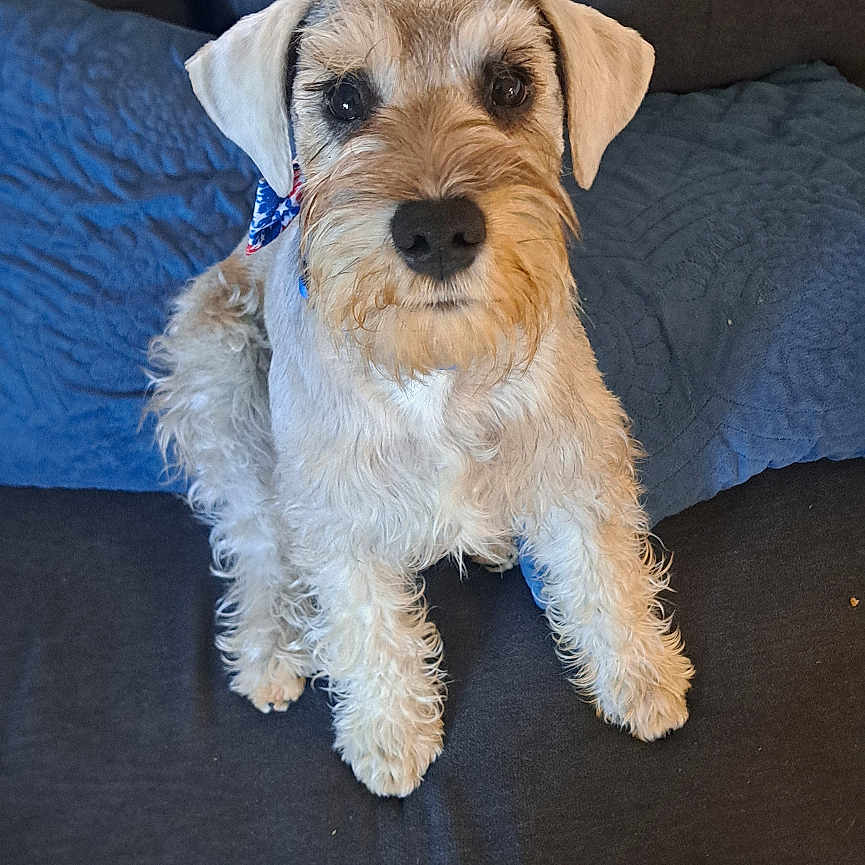 Jack