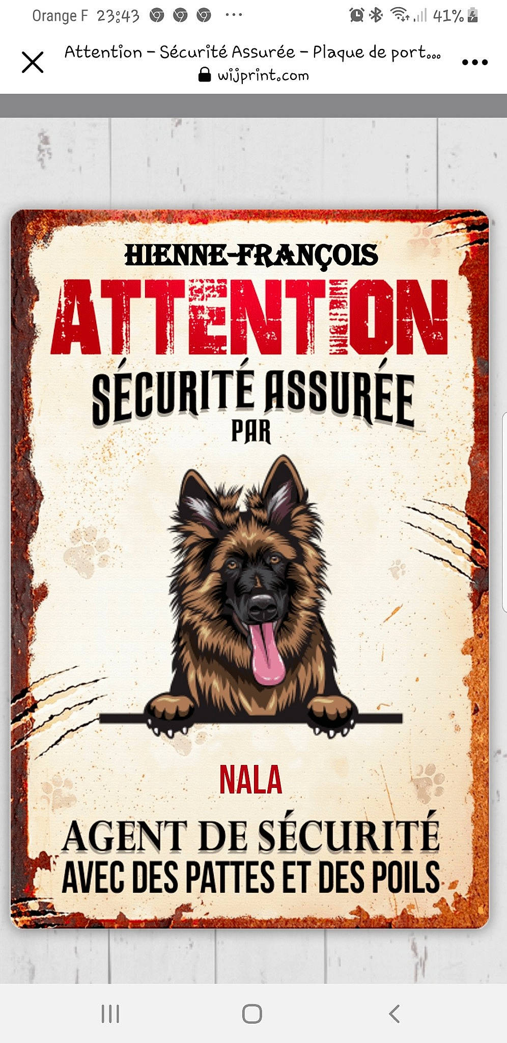 Nala participe au concours pour gagner de l'argent avec cette photo : advertising, book, book_cover, canidae, carnivore, companion_dog, dog, dog_breed, dog_supply, font, german_shepherd_dog, giant_dog_breed, king_shepherd, old_german_shepherd_dog, poster, publication, rectangle, snout, sporting_group, working_dog