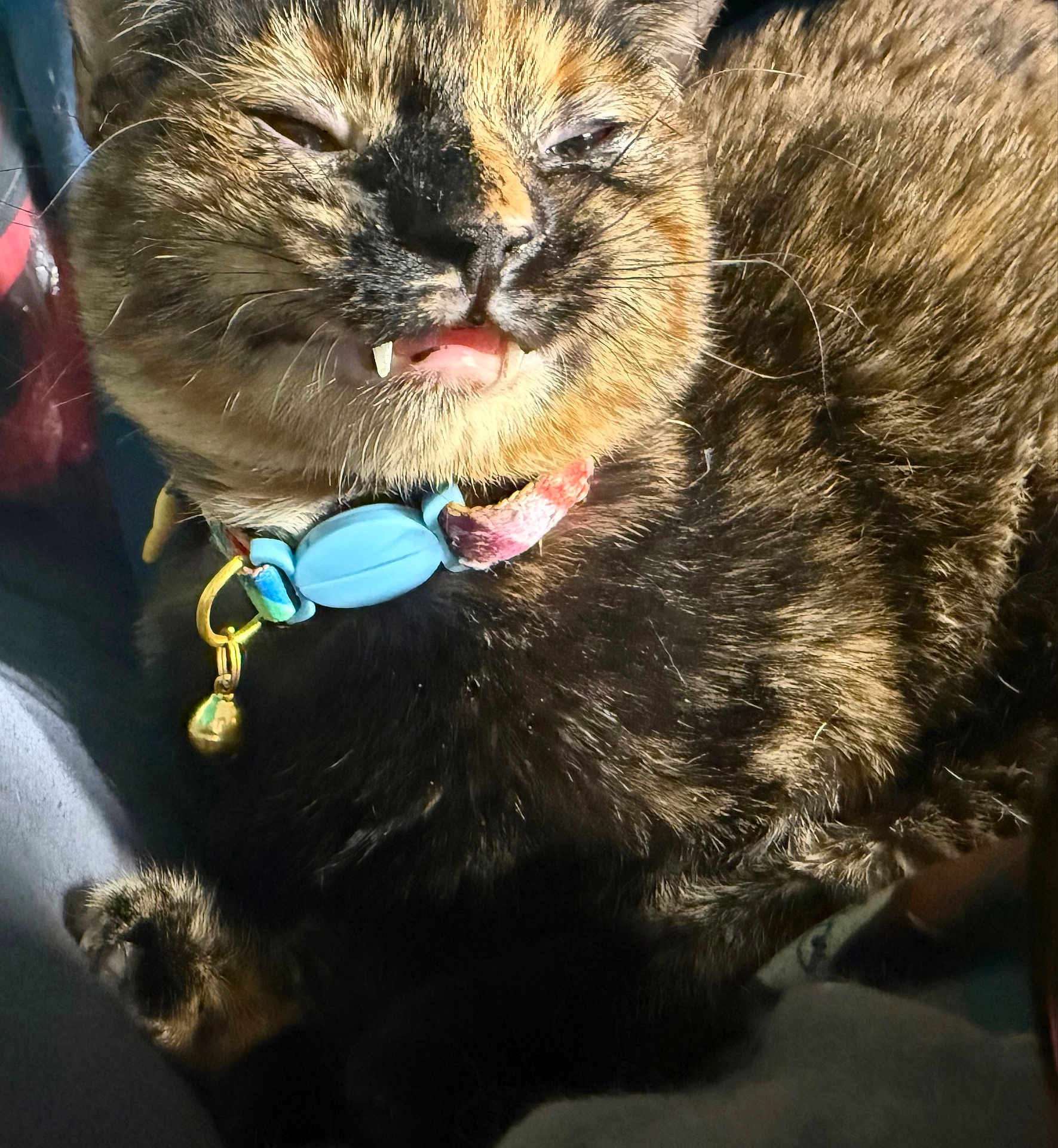 Winnie