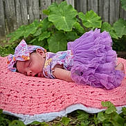 Raylynn is registered to the contest to win money with this photo: baby, child, closeup, colorful_clothing, cute, grass, green_leaves, headband, infant, nature, outdoor, peaceful, pink_blanket, portrait, purple_tutu, resting, sleeping, soft_texture, tulle, wooden_fence