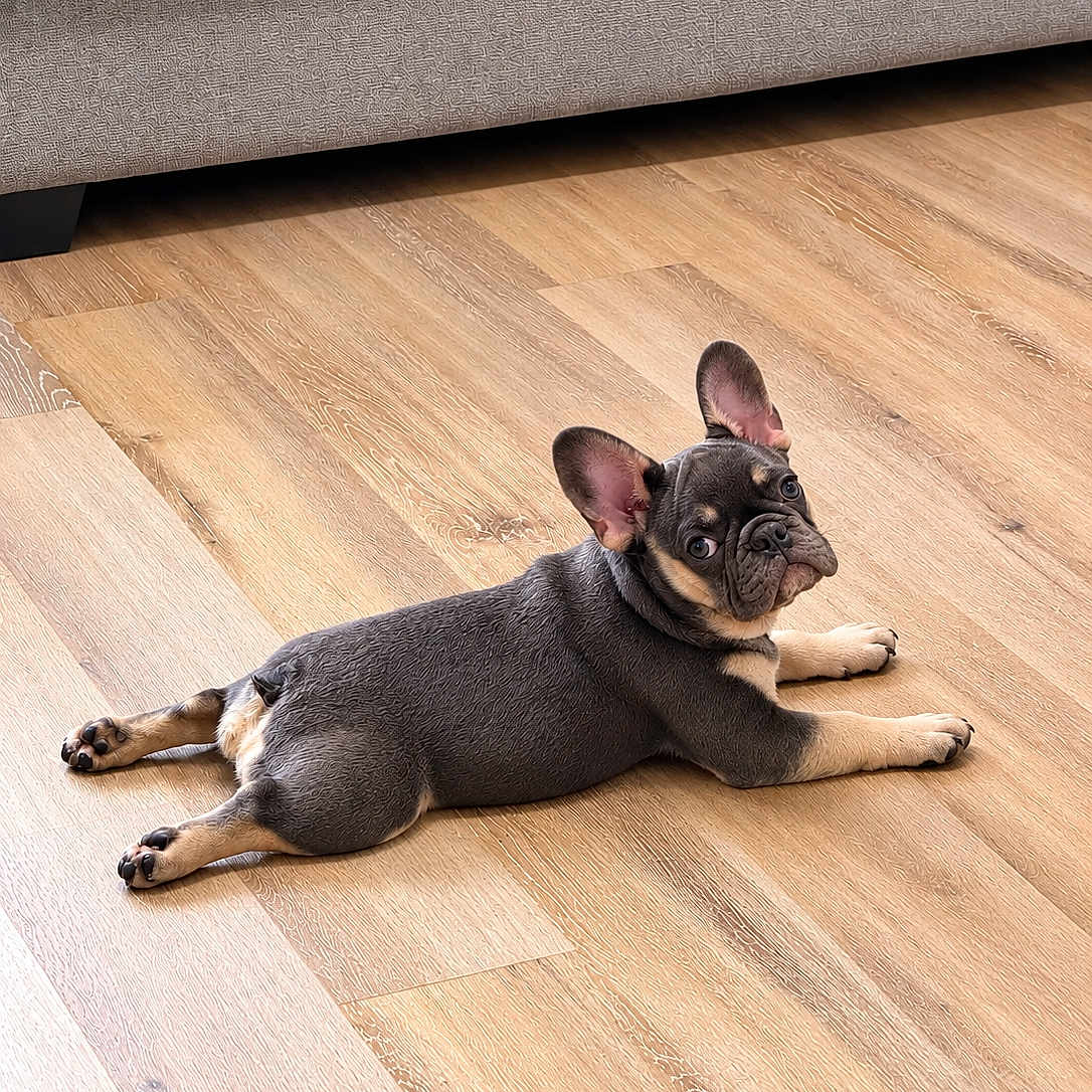 Coco