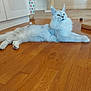 animal, background, calm, cat, domestic_animal, ears, feline, flooring, fluffy, fur, home, indoor, looking_up, lying_down, paws, pet, relaxed, whiskers, white_cat, wooden_floor