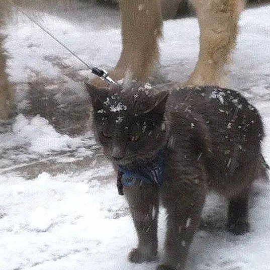 Willow is registered to the contest to win money with this photo: