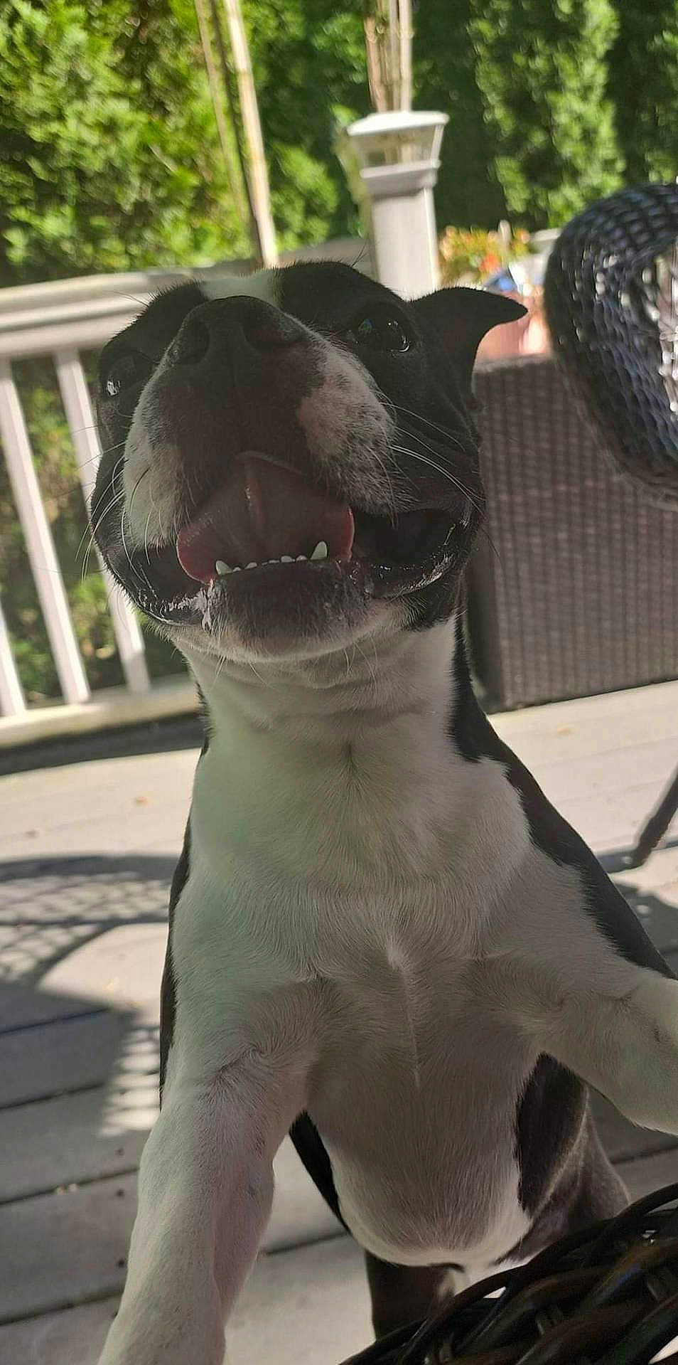 Zeus