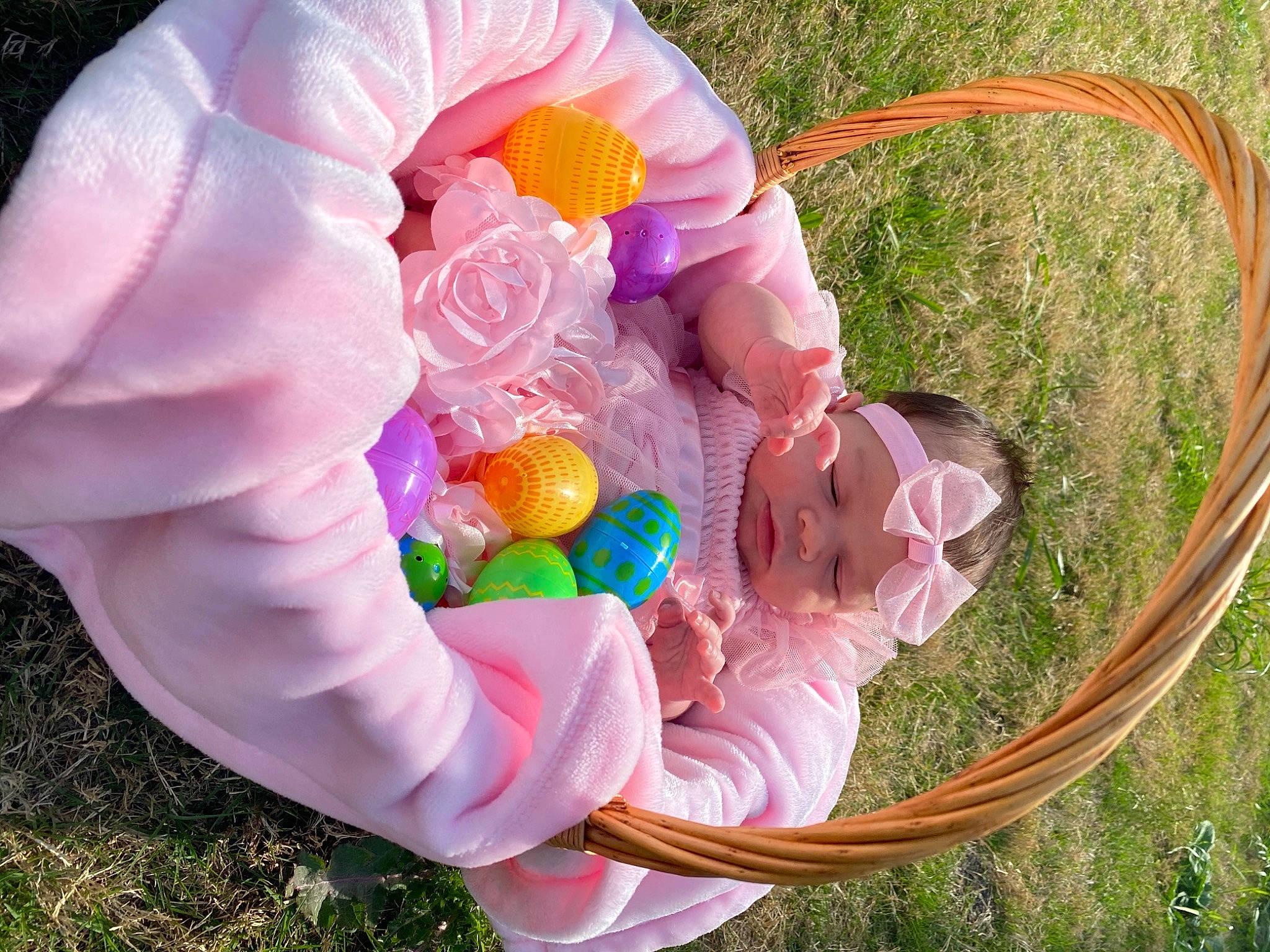 Julissa joined the competition — help win amazing prizes! baby, baby_products, baby_toddler_clothing, basket, child, circle, event, fun, grass, happy, headwear, magenta, people_in_nature, person, petal, pink, play, recreation, rose, rose_order