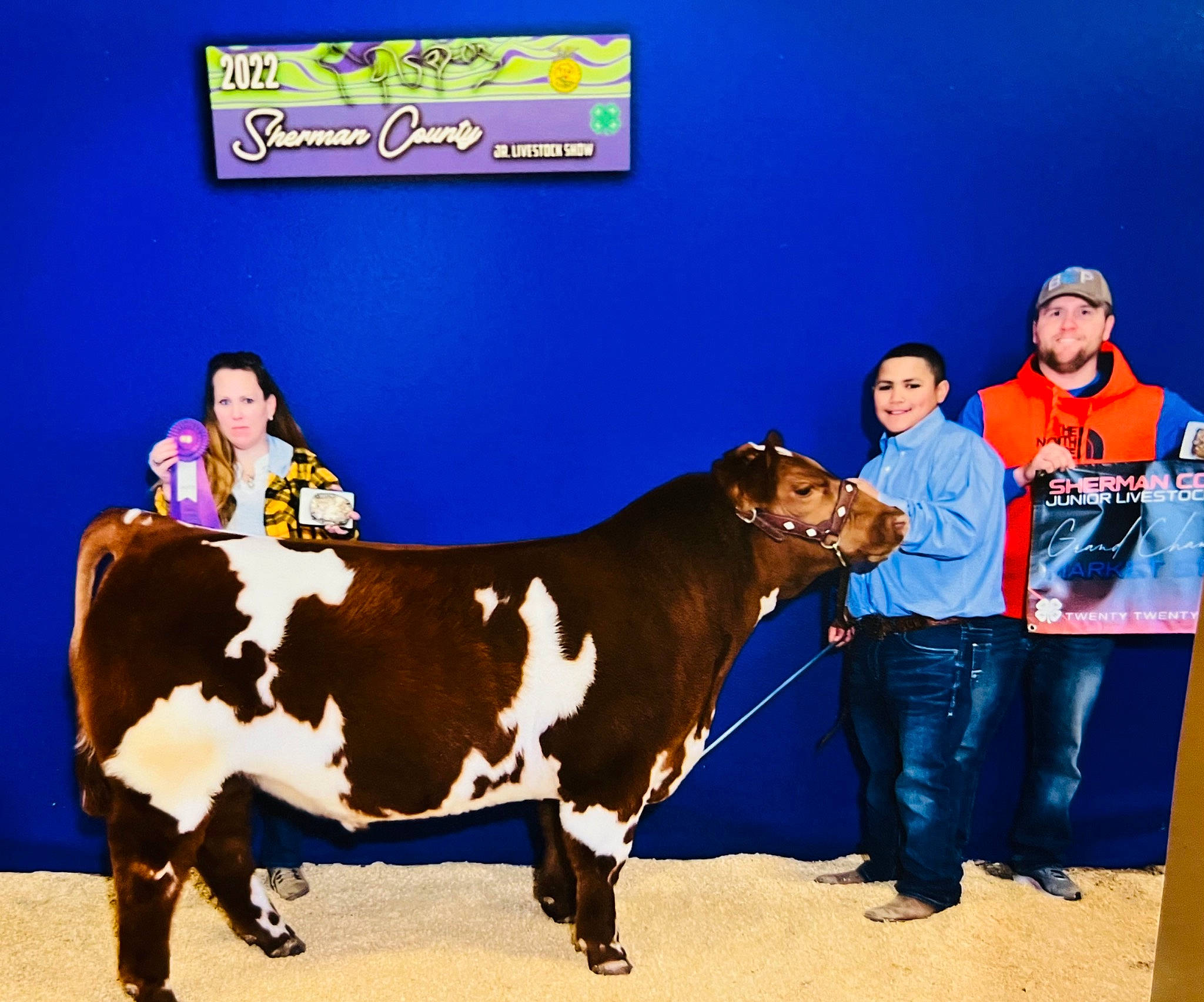 Case joined the competition — help win amazing prizes! bovine, bull, cow_goat_family, dairy_cow, entertainment, event, fun, fur, hat, headwear, jeans, joy, landscape, leisure, livestock, logo, performance, person, public_event, sharing