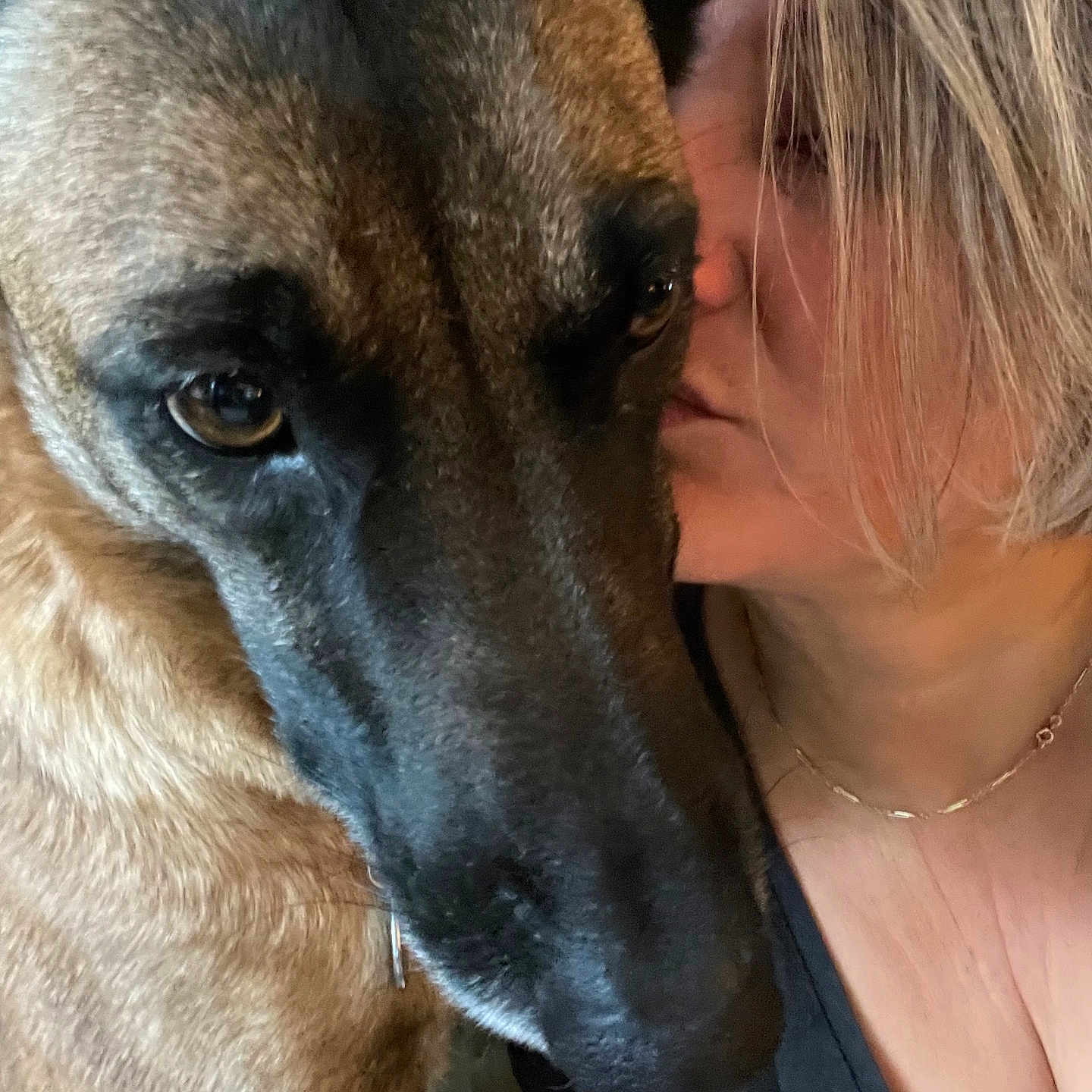 Ruby a rejoint le concours — aidez-le/la à gagner de superbes lots ! accessories, adult, animal, canine, dog, face, female, germanshepherd, head, hound, jewelry, kissing, lady, necklace, person, pet, photography, portrait, puppy, woman