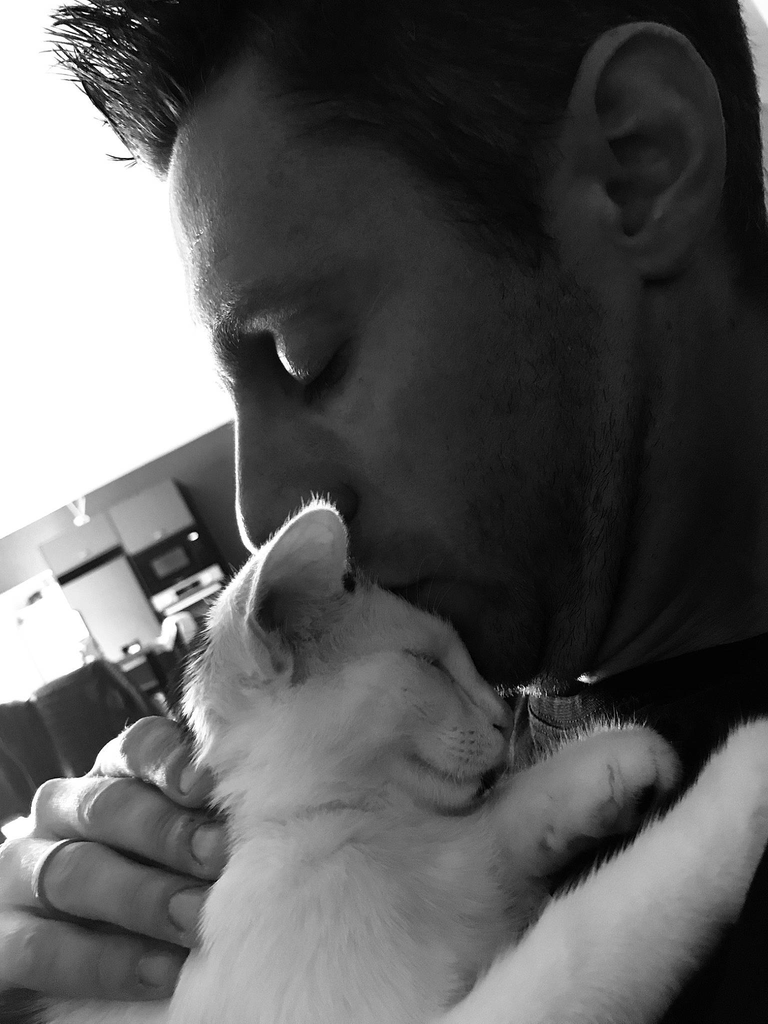 Câlin a rejoint le concours — aidez-le/la à gagner de superbes lots ! beard, black_and_white, carnivore, cat, companion_dog, ear, eyelash, felidae, finger, flash_photography, gesture, hand, happy, jaw, nose, small_to_medium_sized_cats, snout, style, whiskers, white